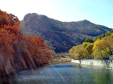 新澳天天开奖资料大全旅游团，骨架油封型号